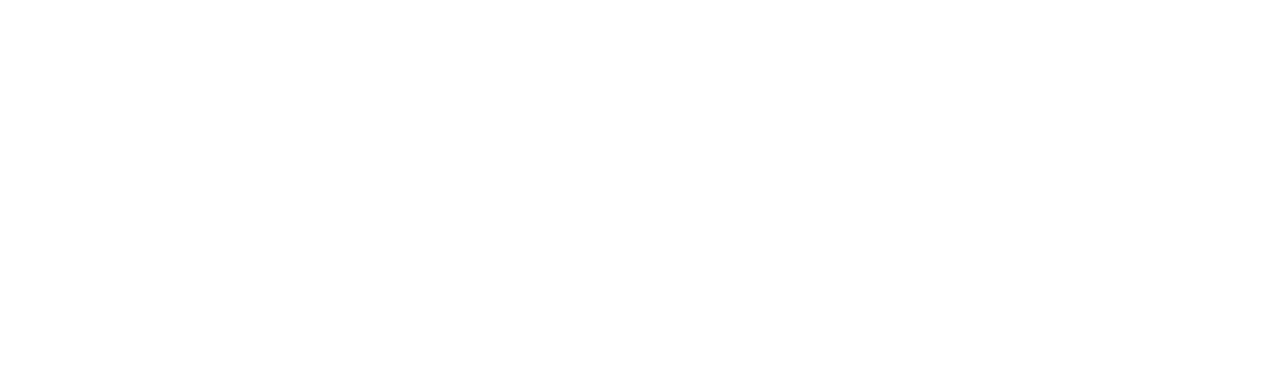 LOGO BANYAX BLANCO (13)
